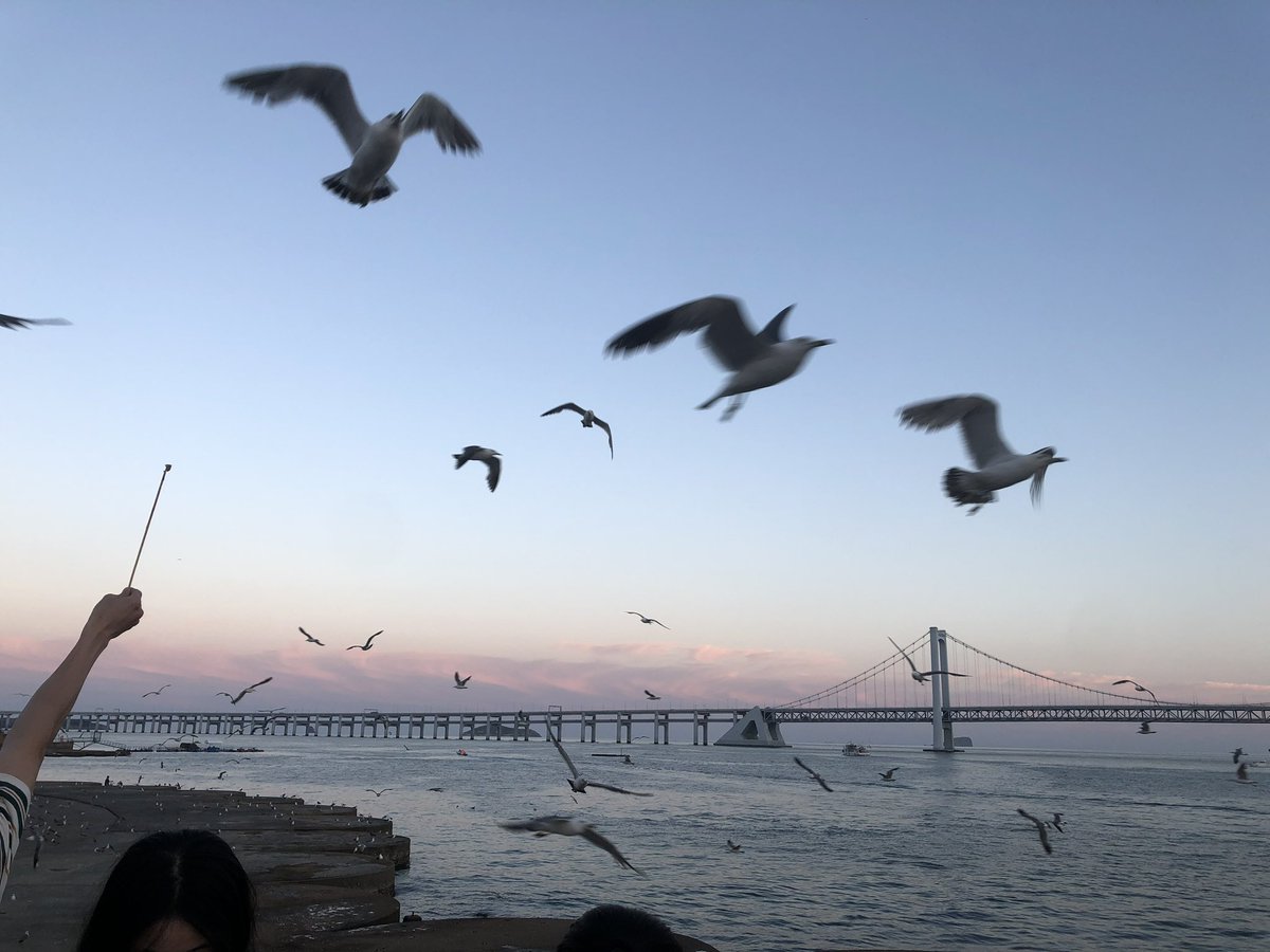 账号丢失两年多了，这段时间经过不懈努力把账号找回来了！！清理了一下关注的人，看到很多熟悉的账号停更，又有些新人来到这个圈子。不知道还有木有人记得我，哈哈哈