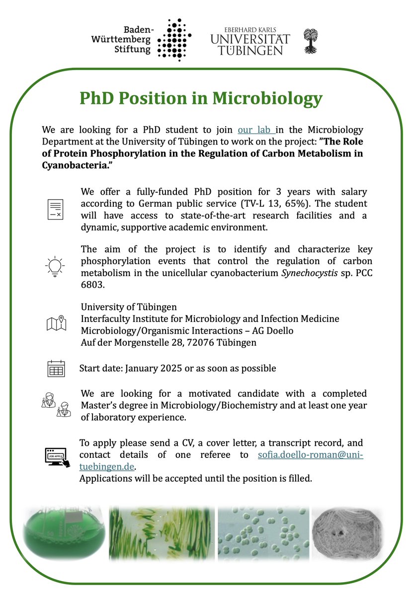 DoelloSofia's tweet image. 📢 We are hiring!
We have an open PhD position to investigate the regulation of glycogen metabolism in cyanobacteria. Details below 👇