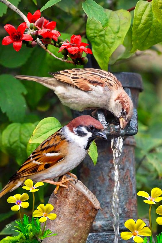 dàv3 <a href="/naxyai1/">Naxy Ai</a> <a href="/artherachain/">Arthera Chain</a> #AA #Arthera #AIRDROP good project wa