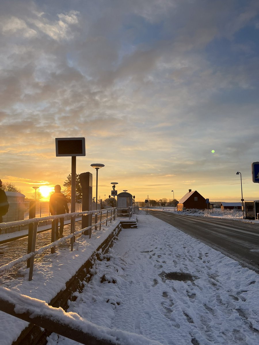 aREEEEEnyxiaa tweet media