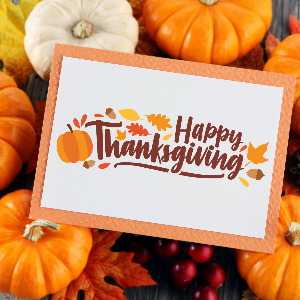 FINEOS's tweet image. This Thanksgiving, we want to express our appreciation to our amazing team, loyal customers, &amp;amp; trusted partners &amp;amp; friends. We wish you a holiday filled with warmth and meaning.
 
#Thanksgiving