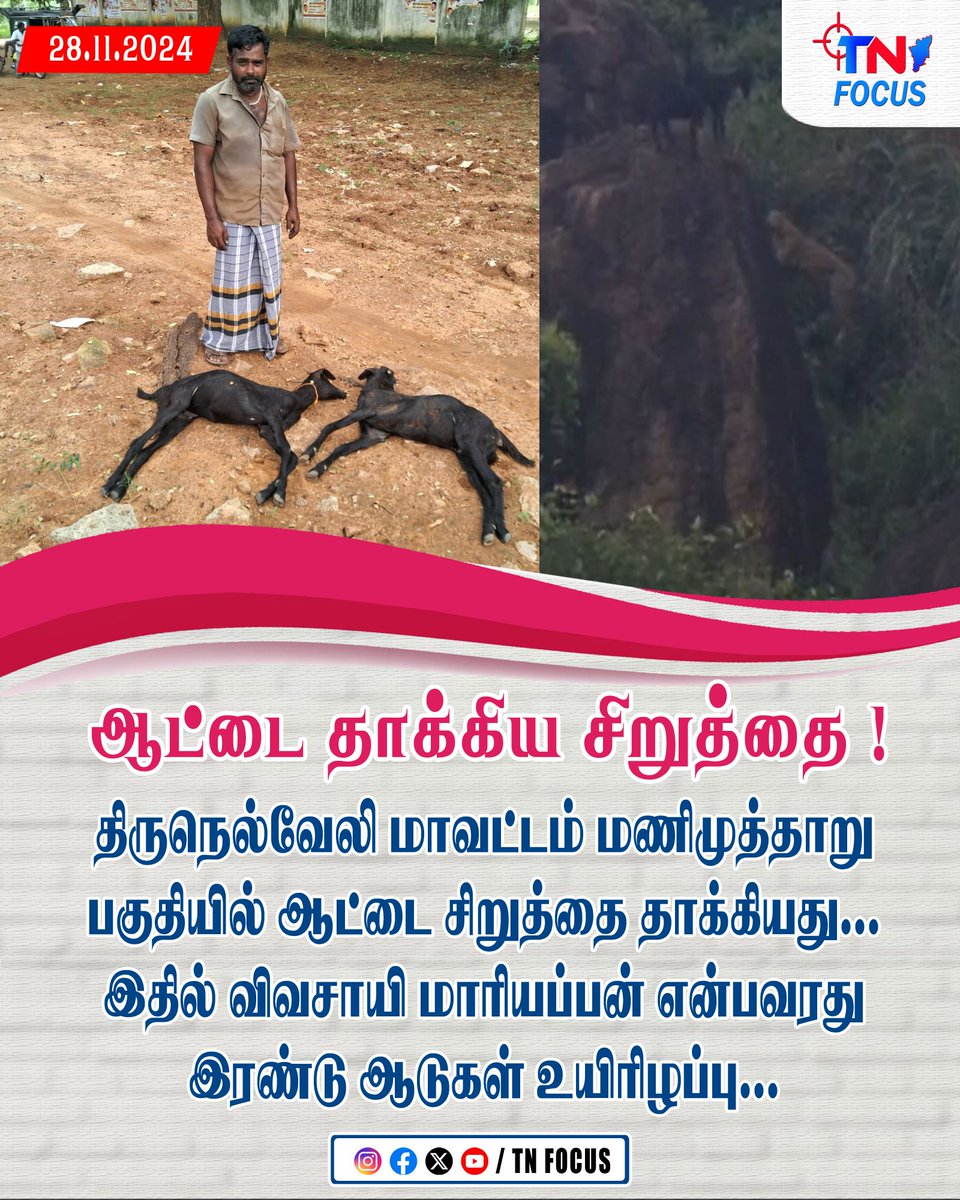 tn_focus_'s tweet photo. https://t.co/NYNIlEAjUM