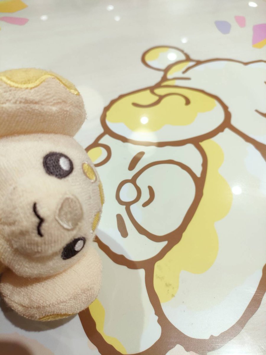wototake's tweet photo. ぱぴもは楽しいこといっぱい知ってるね🙌✨️✨️
#パピモッチ https://t.co/kR4ODKb5Na