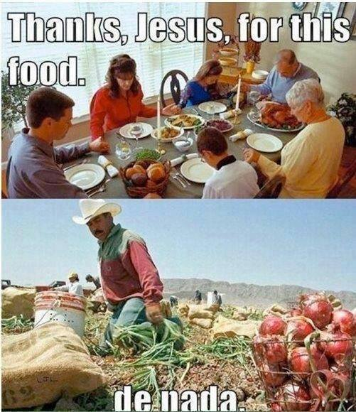 chinchbug's tweet image. 