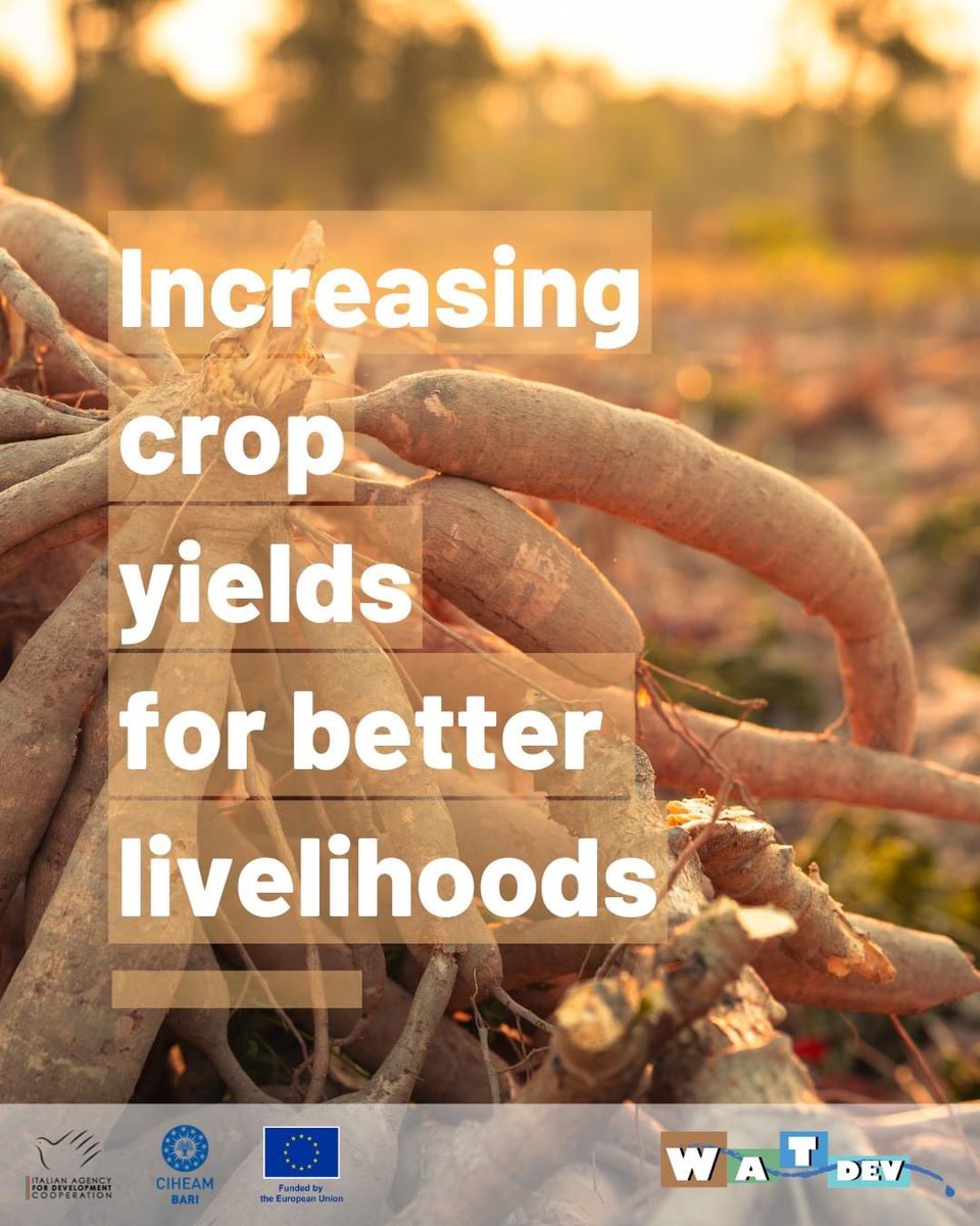 WatDev1's tweet photo. 📍At WATDEV, we're committed to supporting local researchers and agricultural scientists across #EastAfrica to shape a #sustainablefuture. Sharing Best Management Practices like #agroforestry and #WUAs , ensuring communities manage their resources efficiently and sustainably ♻️ https://t.co/dcRVTBSCsI