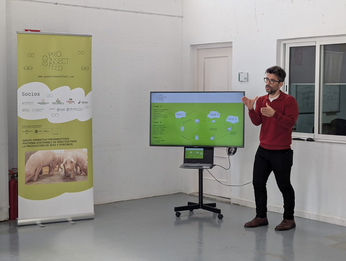 🦗🌾 ¡Primeras fórmulas nutricionales listas! Proinsectfeed transforma subproductos en proteína sostenible para el sector ganadero. #EconomíaCircular #Ganadería