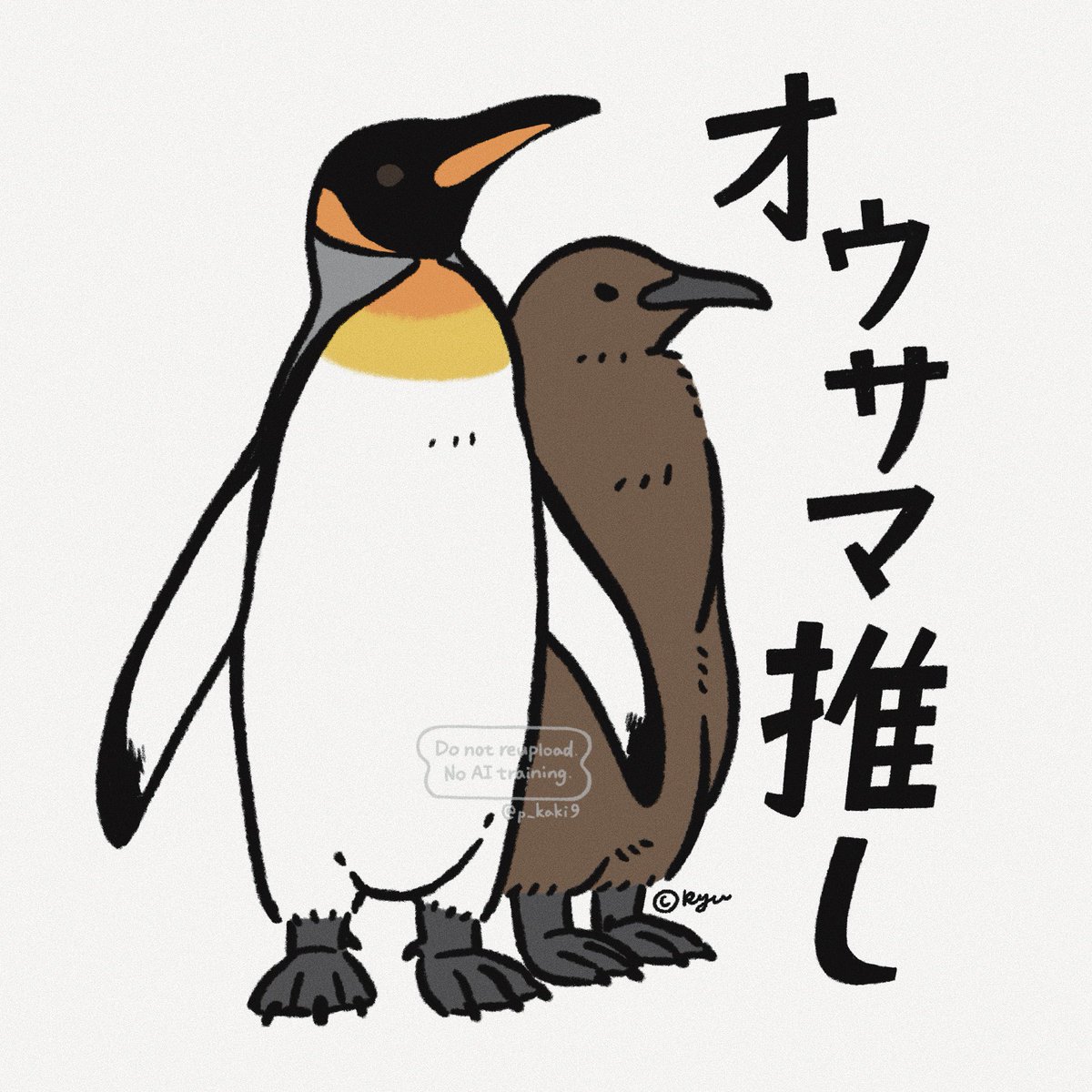 アプテノディテス属🐧 