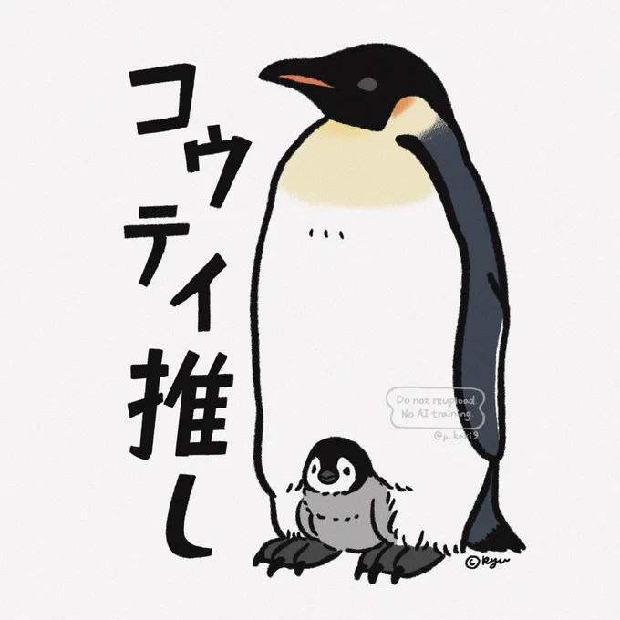 アプテノディテス属🐧 