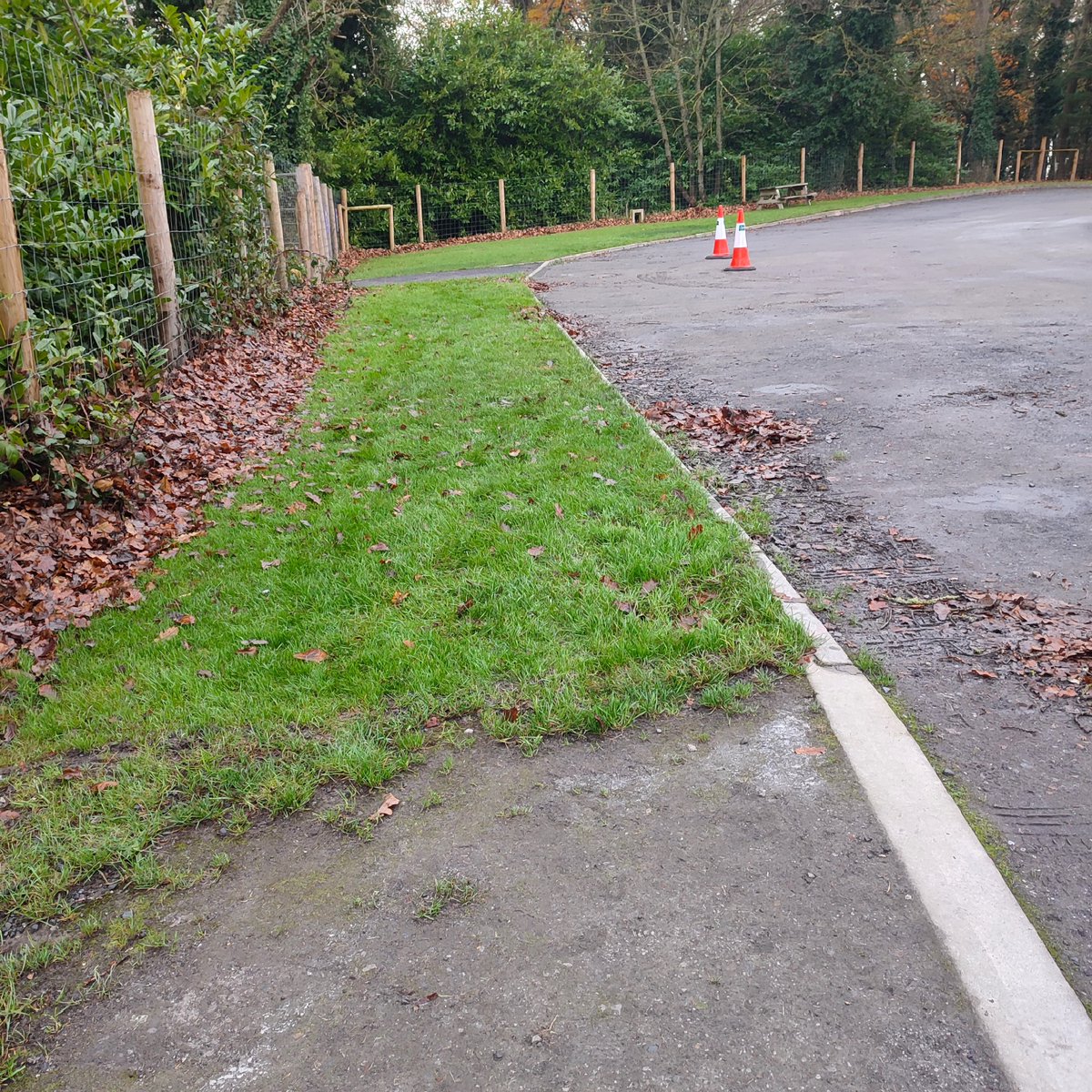 Emo Court (@emocourtopw) on Twitter photo We are commencing works today at the top car park adjacent to the picnic area. There will be no access for cars with the exception of blue badge holders for the disability spaces at the toilet area. Thank you for your cooperation. <a href="/LaoisPeople1/">Laois People</a> <a href="/MartleysCoaches/">Martleys Coach Hire - Portlaoise | Laois</a> <a href="/catocafinefood/">CaToCa Fine Foods</a> We are commencing works today at the top car park adjacent to the picnic area. There will be no access for cars with the exception of blue badge holders for the disability spaces at the toilet area. Thank you for your cooperation. <a href="/LaoisPeople1/">Laois People</a> <a href="/MartleysCoaches/">Martleys Coach Hire - Portlaoise | Laois</a> <a href="/catocafinefood/">CaToCa Fine Foods</a>