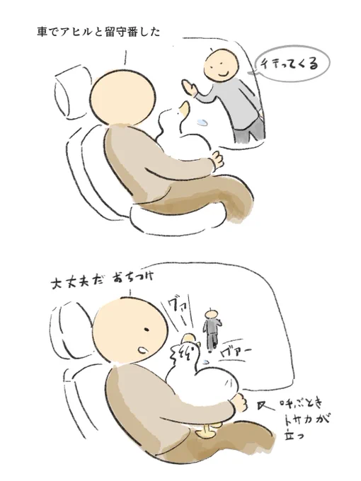 足音ガチャするアヒル 