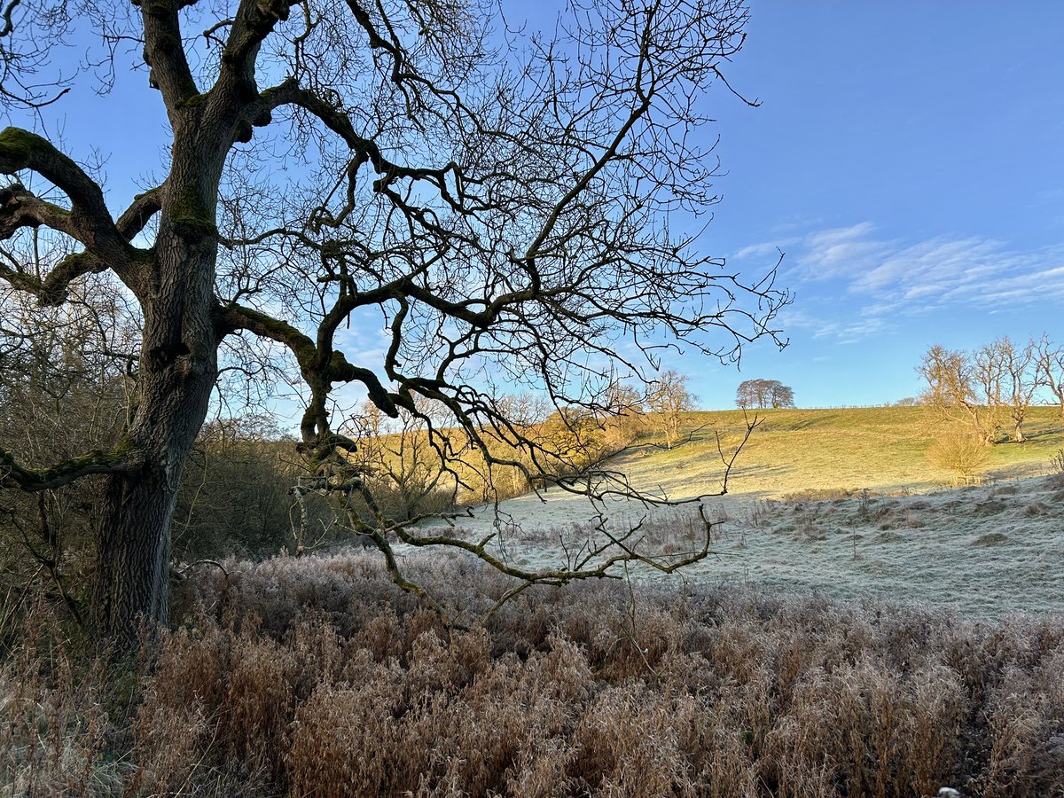 WeatherWolds's tweet photo. Frozen Fields. -1°C and blue skies. Redwing. https://t.co/aWF1EhBCoJ