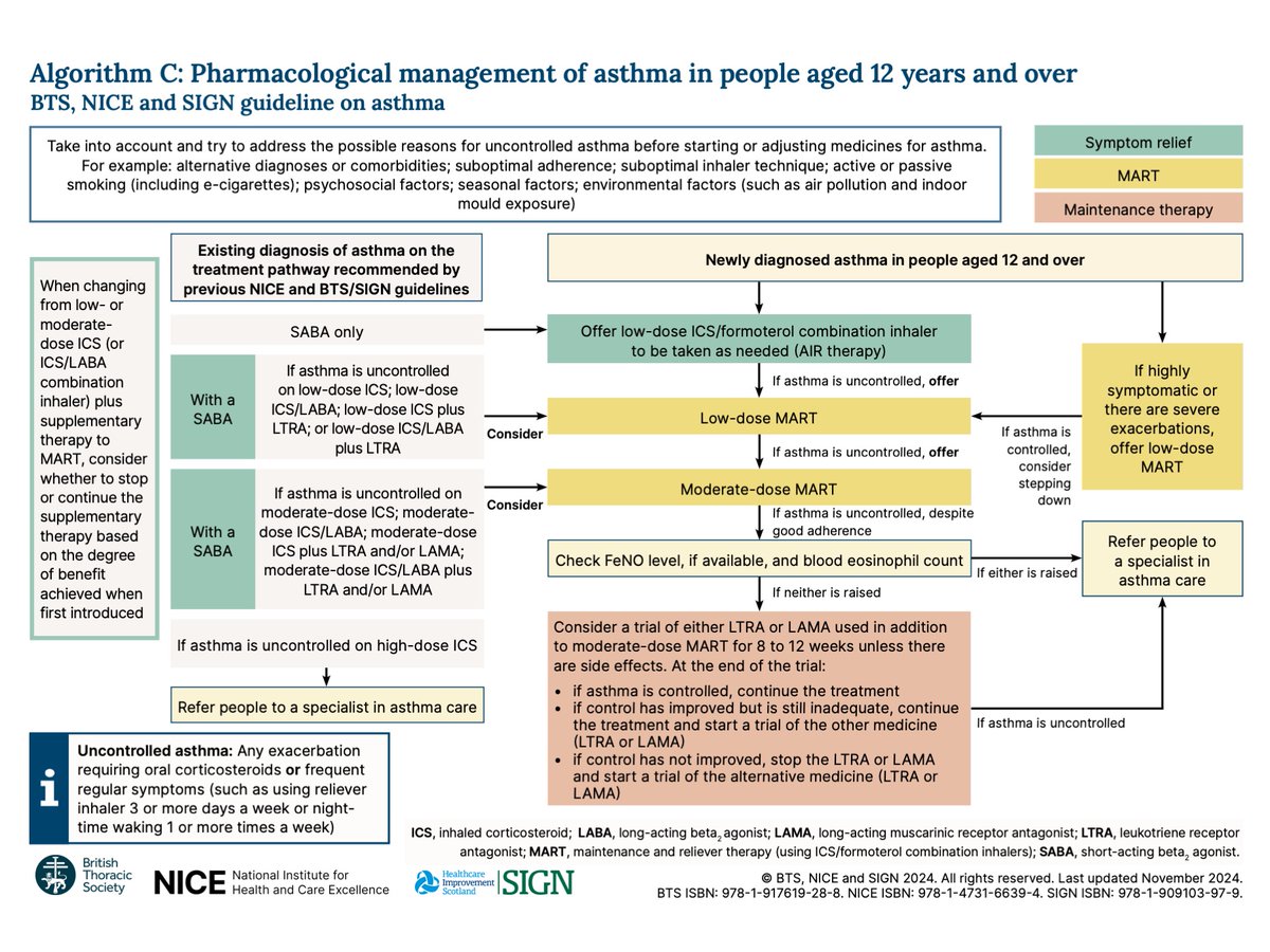 HinksLab's tweet image. The new NICE/BTS/SIGN #Asthma guidelines are superb. A collaborative approach. A focus on using blood eos and FeNO at initial presentation and finally the long-overdue end to salbutamol. Read it and use it now nice.org.uk/guidance/NG245