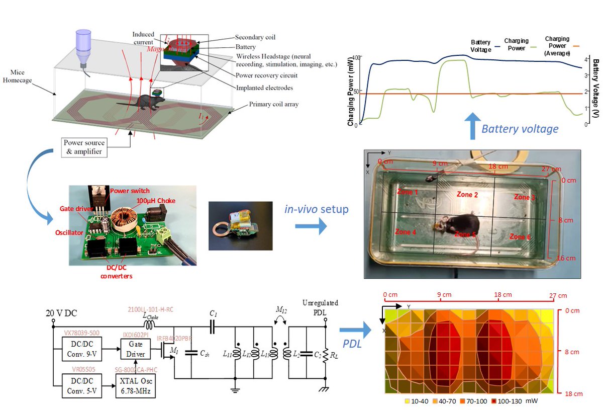 elspub's tweet image. Thrilled to share this #article  paper of Journal #Neuroelectronics! 
📜 Optimized multi-coil wireless power transfer for experimental #Neuroscience  settings with live animals: a robust design #methodology
🔎 Hayati H, Bilodeau G, Brochoire L, Gagnon-Turcotte G, Fossat P, et al