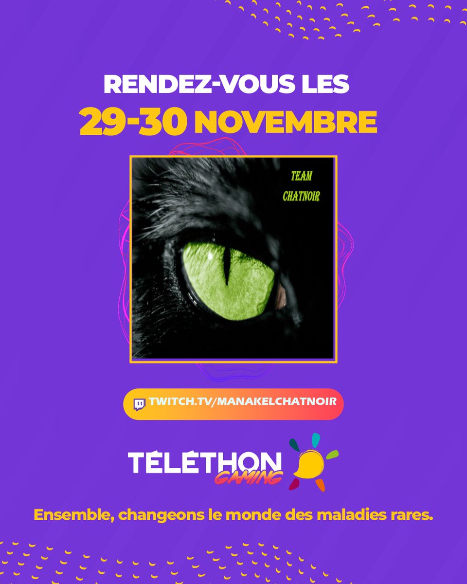 ManakelChatNoir_TTV tweet media
