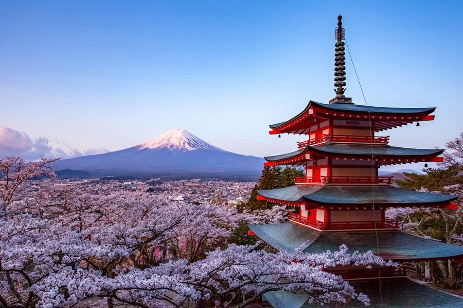 My dream reward is to experience the life in Japan, from my teenage years to early 30's my dream travel destination is Japan. So if my luck in Lingo goes, this is the first thing I will really do.

#Dreamscometrue $Lingo