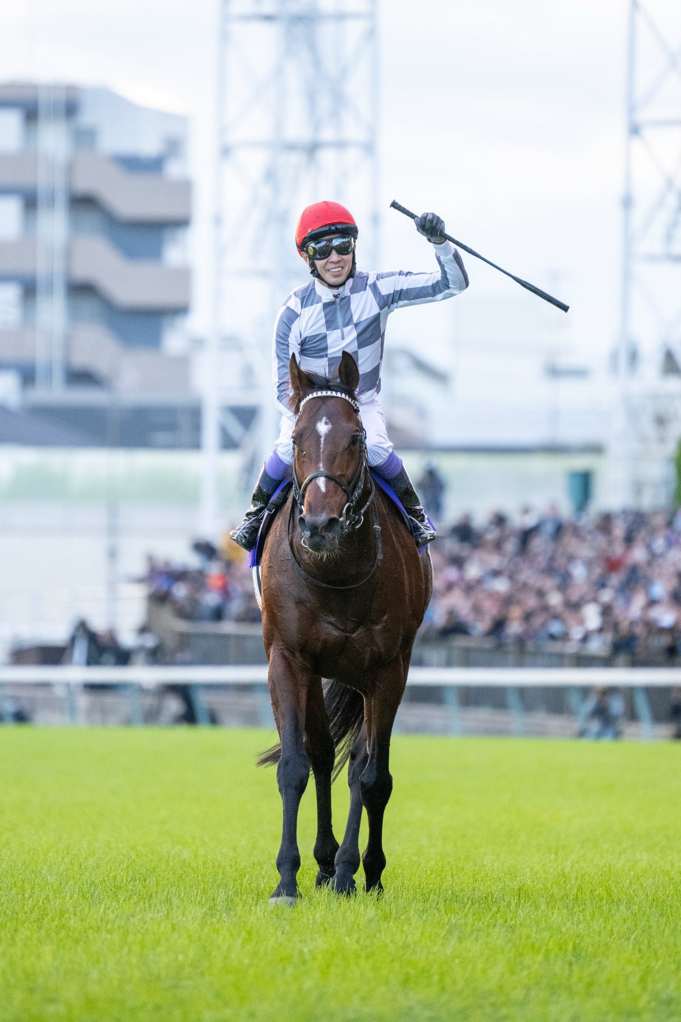 World Horse Racing on X: 