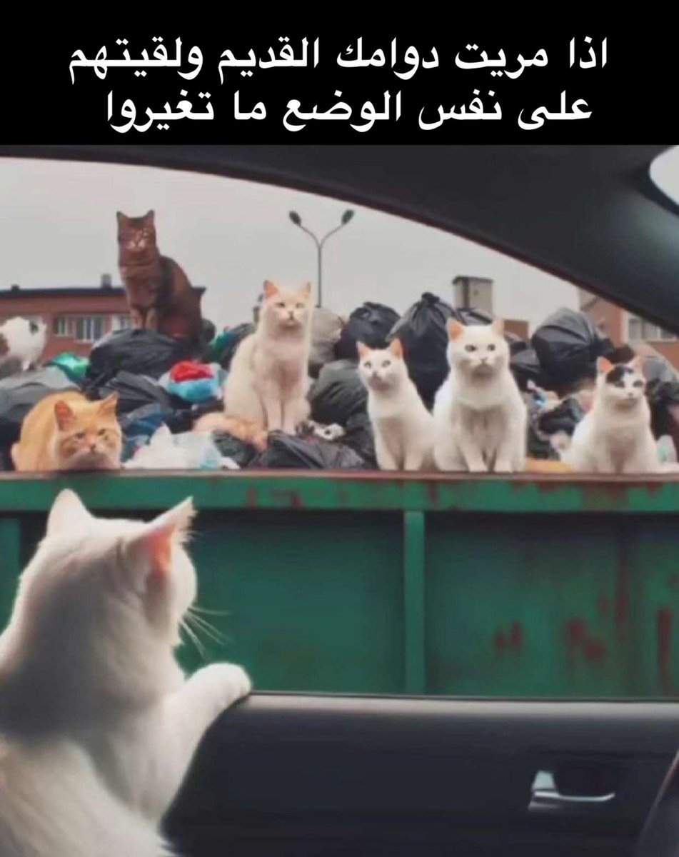 منصور tweet media