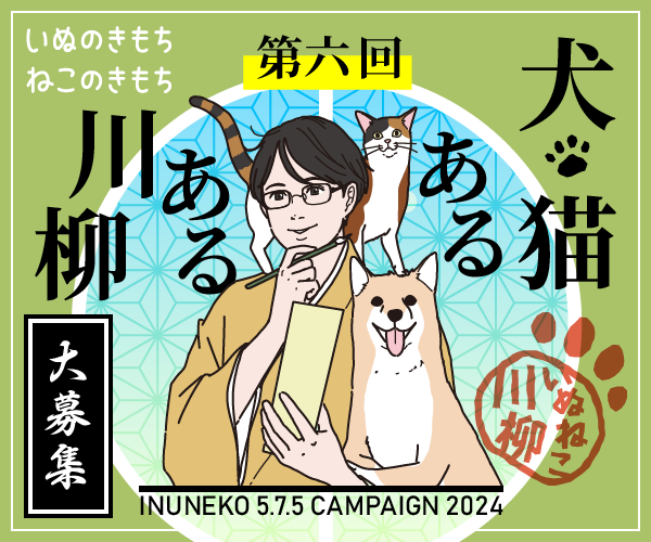 ◤◢◤ 本日最終日 📢ˎˊ˗◢◤◢
ご応募まだ間に合います‼️
🐶#犬猫あるある川柳 🐱
◤◢◤◢◤◢◤◢◤◢◤◢◤◢
いよいよ本日応募最終日⚡️
思わず「あるある👏‼️」と頷いてしまう犬猫の日常を5・7・5にしたためて是非投稿してください📮
🐕応募はコチラから🐈
https://t.co/jaUK1Hbxo5