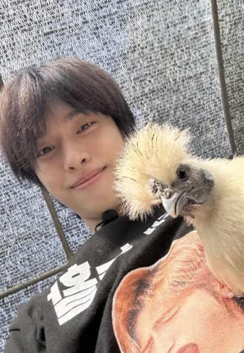 gao0ri's tweet photo. 귀여우시다🐤💖 https://t.co/XxTQRD6ith