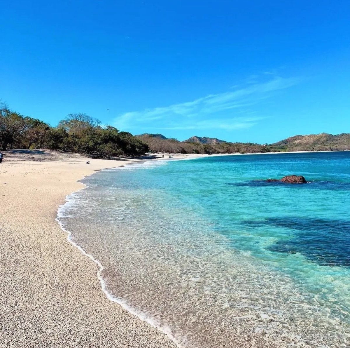 At Playa Conchal, you can bask in the turquoise waters, snorkel through vibrant marine life, or simply relax under the shade of the palm trees!

This beach isn’t your typical sandy shore; its name comes from the millions of crushed seashells that cover it’s shoreline! 🐚