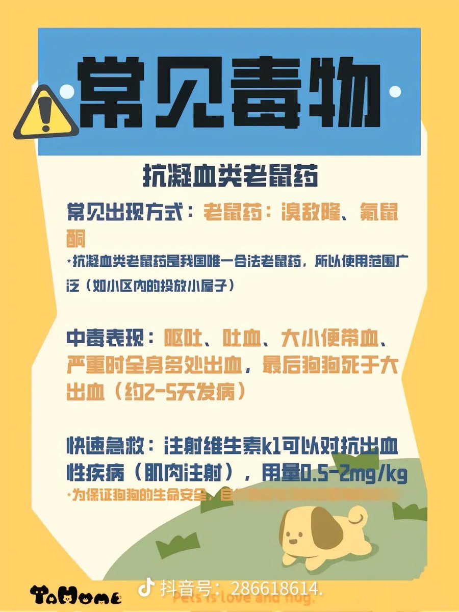 CryptoPainter's tweet photo. 最近国内毒狗事件频发，养宠物的朋友还是要小心一点比较好！

虽然不能理解这些人的行为，但毕竟开车撞人、当街砍人的都不少，那些想要报复社会但又没种的小人可能就会选择毒狗了…

我已经把淘宝上售卖毒药的商家全部举报了，这些人有一个算一个，随机投毒的都不得好死！

我大学时收养一条狗“豆豆”就是这么被毒死的，对这些人的恨，永远都不会淡去！