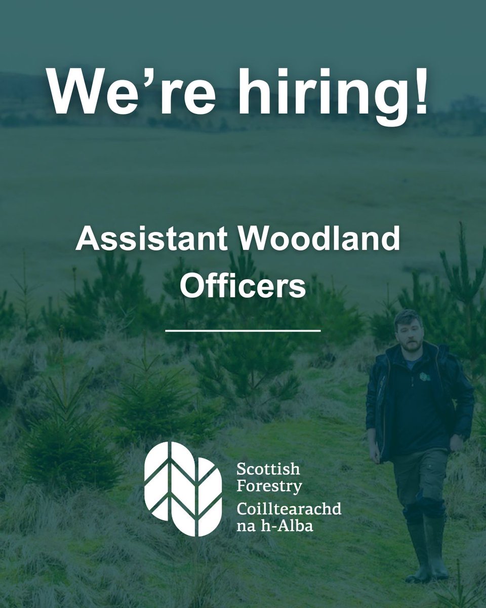 🌲Assistant Woodland Officers wanted!🌳

Get a great job which provides a mix of home/office working &amp; the outdoors. 

We are now looking for new Assistant Woodland Officers to join us. Closing date 20 Dec 2024. 

Details: forestry.gov.scot/live-vacancies

#forestryjobs