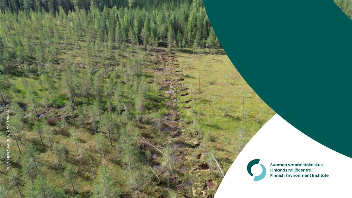 Did you know that #restoration brings #peatland vegetation closer to a pristine state? 💡

A Finnish monitoring #study demonstrates that peatland restoration can bring vegetation closer to its pristine state within a decade.

👉 sttinfo.fi/tiedote/706967…

#Nature #Climate
