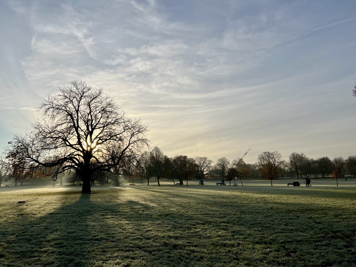 TaniaRice's tweet photo. Stunning, joyous - thank god for the parks in London #Stokey #ClissoldPark https://t.co/5knOR0AHrp