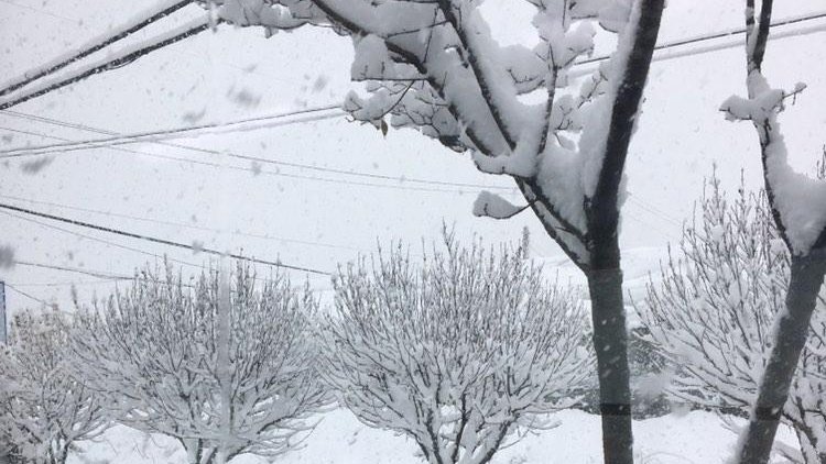 올해는 눈 오리 주는 친구가 없구나. 괜히 아쉽네...