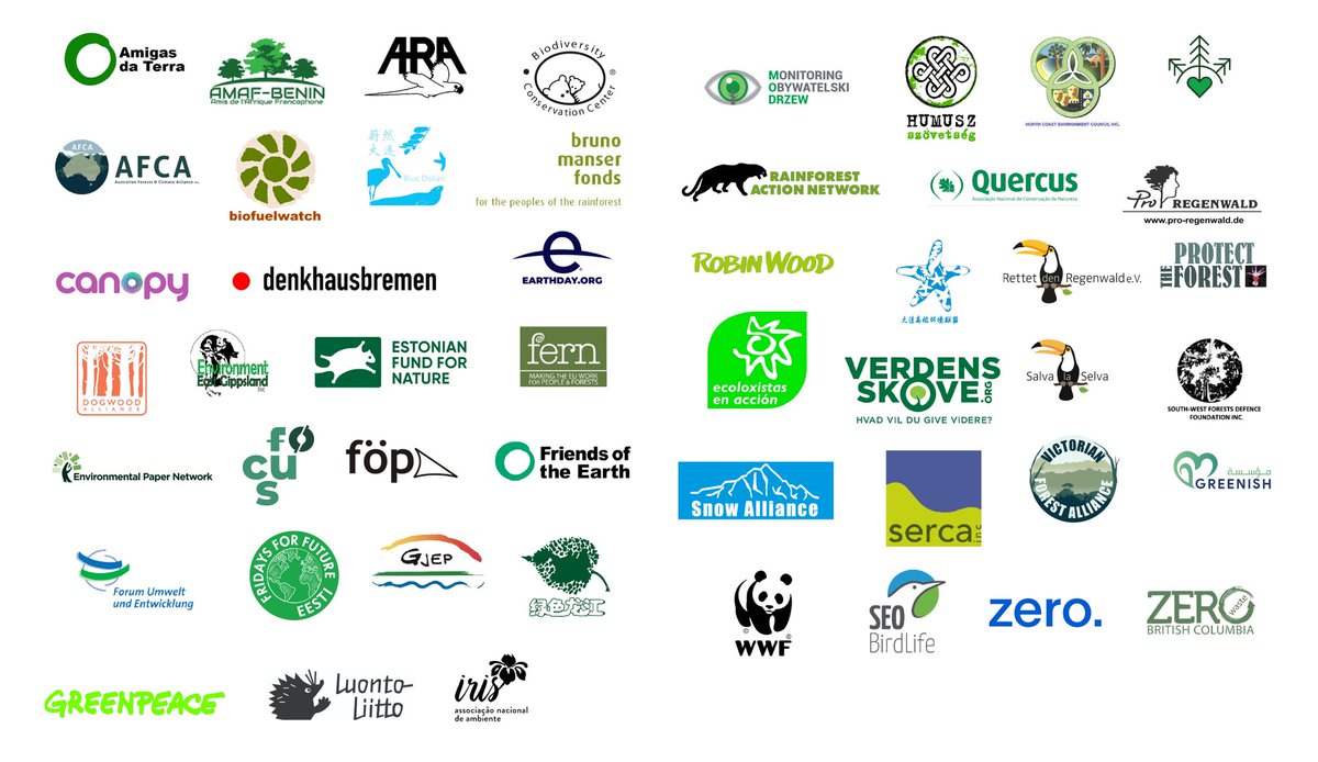 52 organizacións dos cinco continentes esixen por carta á Xunta e ao Estado que rexeiten o proxecto de Altri
➡️Din que existe unha saturación de industrias de pasta de celulosa na rexión (GZ-PT) e piden acabar coa expansión do eucalipto
es.greenpeace.org/gl/sala-de-pre…