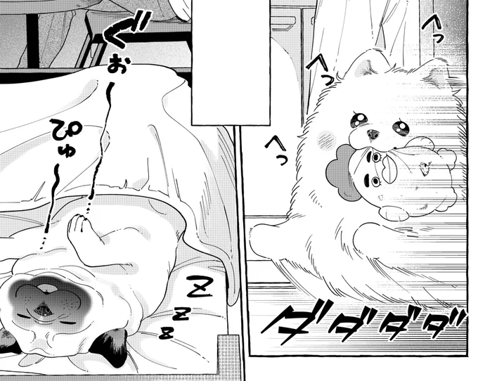 明日19時頃
『正反対なわたしたち』38話
更新いたします📢🐶

お待たせしてばかりで申し訳ございません🙇🏻‍♀️
今回はこの2組がメインで登場します! 