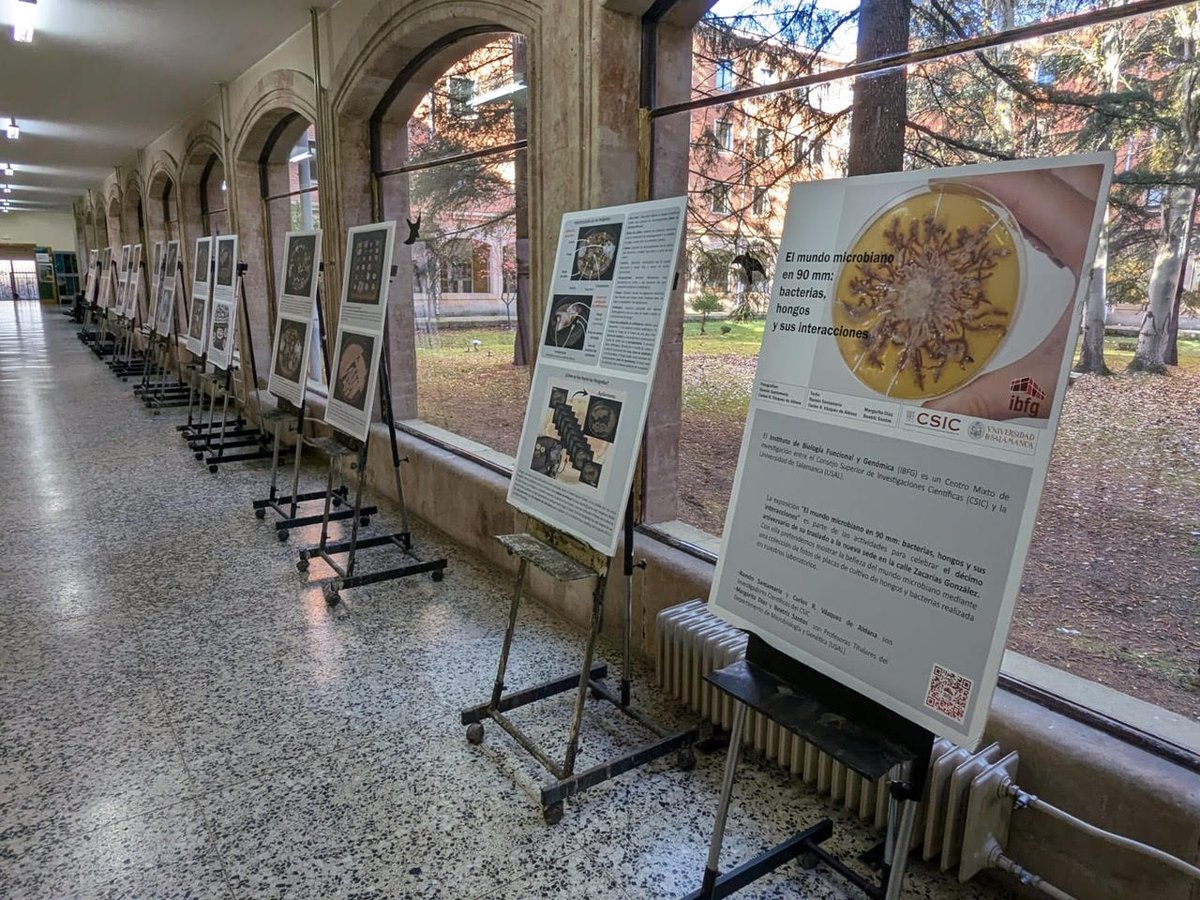 IBFG (@ibfg_es) on Twitter photo No os perdáis “El mundo microbiano en 90mm” en la Facultad de Bellas Artes, disponible hasta el 20/12. Colaboramos con el GIR-ITACA (Investigación y transferencia en arte y cultura audiovisual) de la <a href="/usal/">Universidad de Salamanca</a> en este evento de la #SemanadelaCienciaCyL #SemanaCienciaCSIC <a href="/UCCiUSAL/">Unidad de Cultura Científica y de la Innovación</a> No os perdáis “El mundo microbiano en 90mm” en la Facultad de Bellas Artes, disponible hasta el 20/12. Colaboramos con el GIR-ITACA (Investigación y transferencia en arte y cultura audiovisual) de la <a href="/usal/">Universidad de Salamanca</a> en este evento de la #SemanadelaCienciaCyL #SemanaCienciaCSIC <a href="/UCCiUSAL/">Unidad de Cultura Científica y de la Innovación</a>