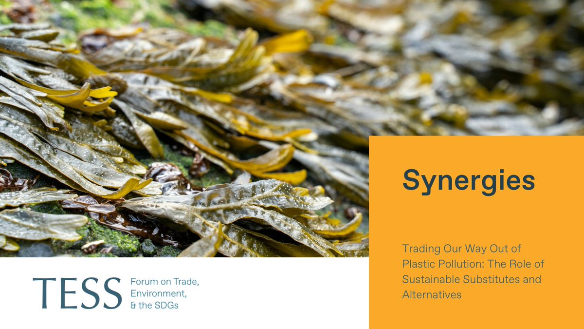 As negotiations continue at #INC5, <a href="/TESSForum/">Forum on Trade, Environment & the SDGs</a> is pleased to share this Synergies article by Lorenzo Formenti <a href="/loleformenti/">Lorenzo Formenti</a> &amp; Henrique Pacini <a href="/h_pacini/">Henrique Pacini</a> on why:

➡️ trade can play a critical role in developing &amp; scaling up non-plastic substitutes &amp; plastic alternatives to address