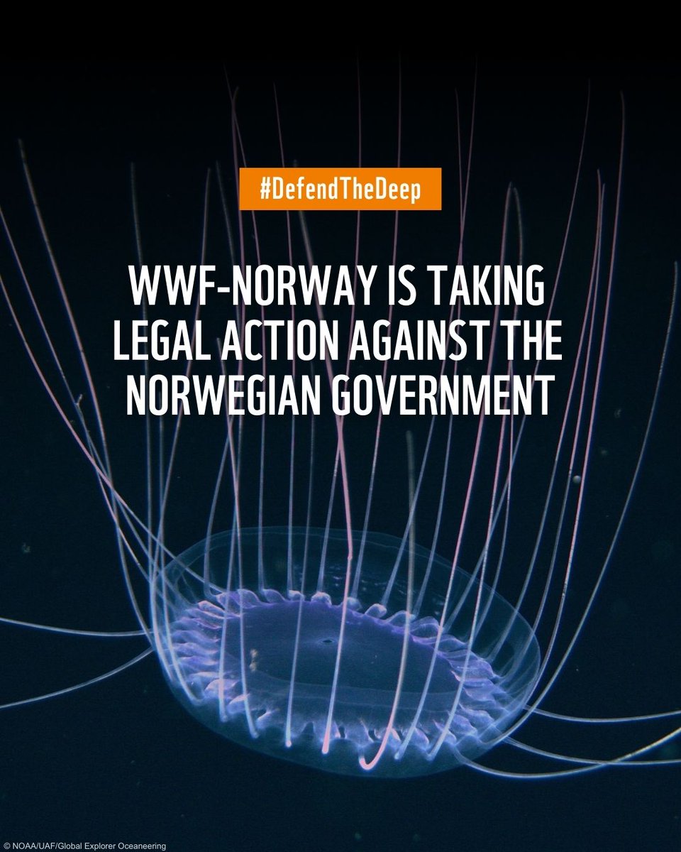 Simon Holmström tweet media