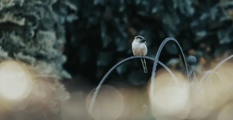 Green tech start-up company, BNGx, today launches its digital marketplace for biodiversity net gain units, fully registered with Natural England 🐝 

👉 buff.ly/4fJtxbZ 

#BiodiversityNetGain #Environment