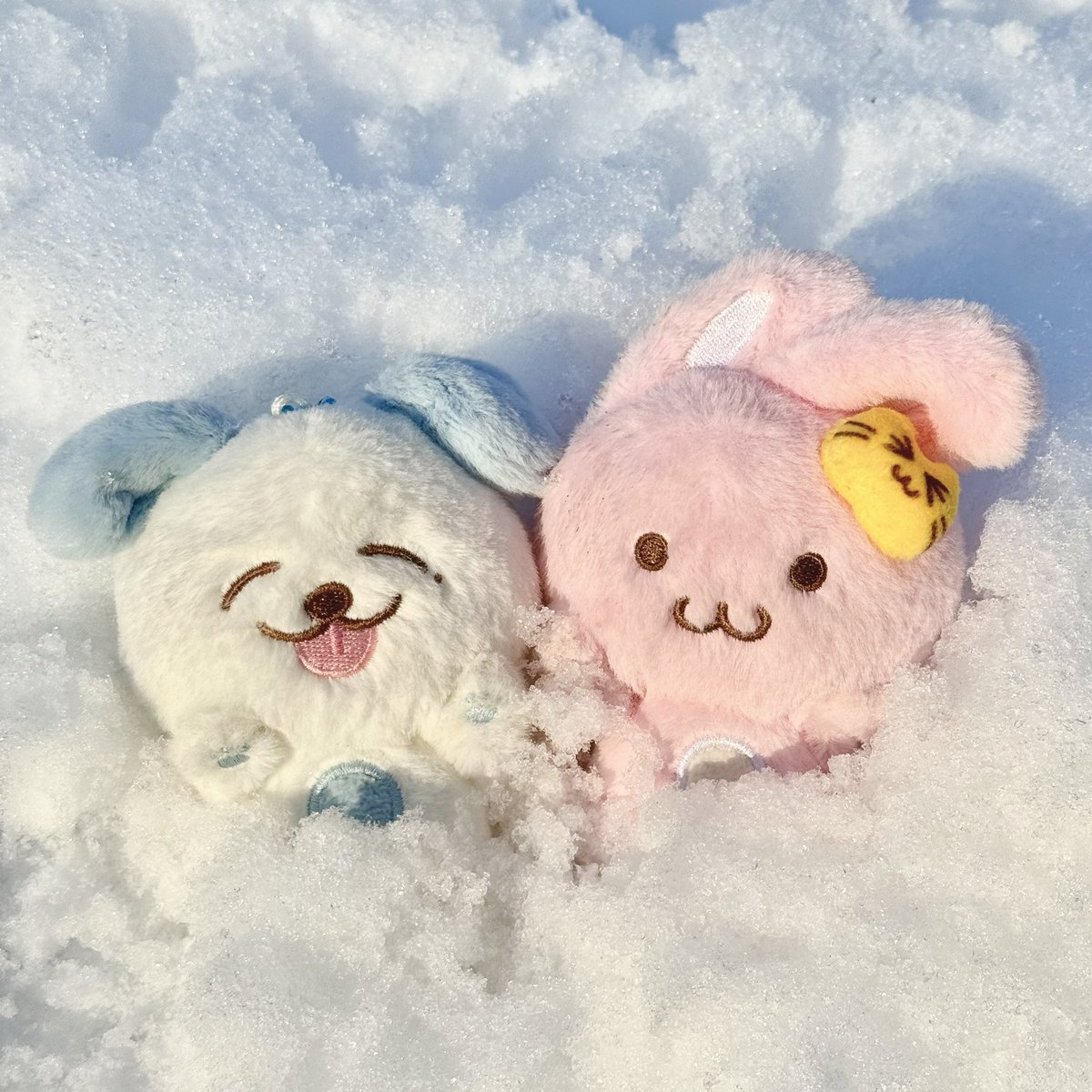 NDoJeno1's tweet photo. คอนเท้นหิมะแรกเมนดรีม 

                                       เมนเตน https://t.co/jiwOWlrZca
