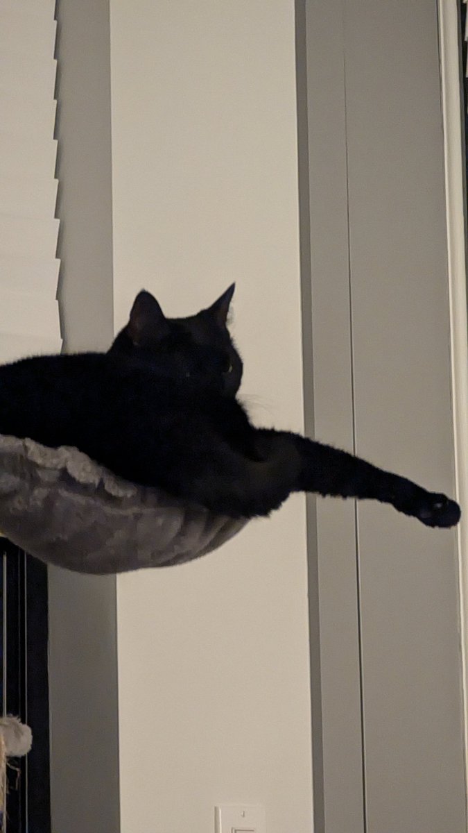 David Hull tweet media