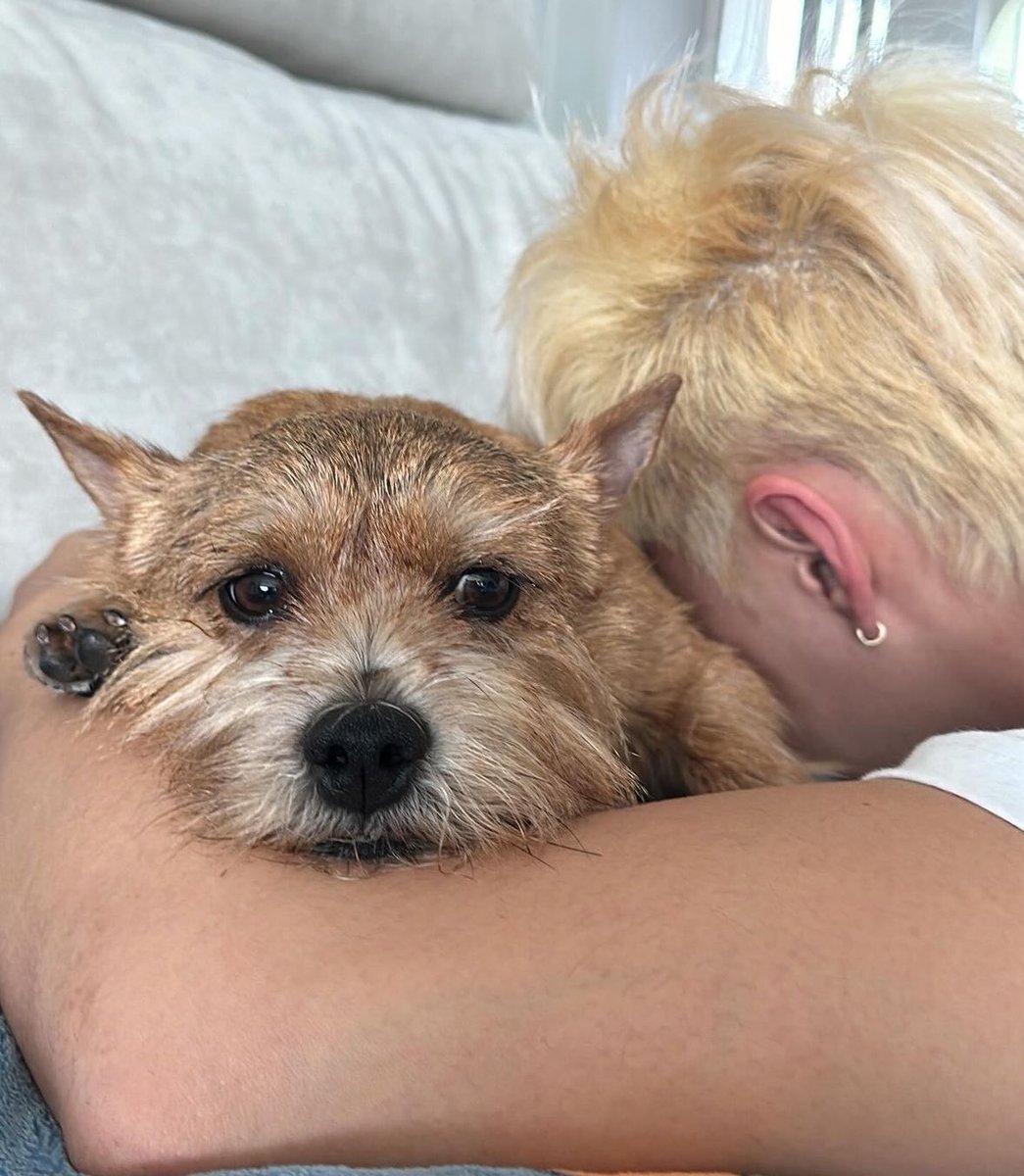 minghaocheol_'s tweet image. OH MY GOD WE GOT MORE HOSHILATTE SLEEPING PICS TOGETHER 😭😭😭😭😭😭 SO CUTE 😭😭😭