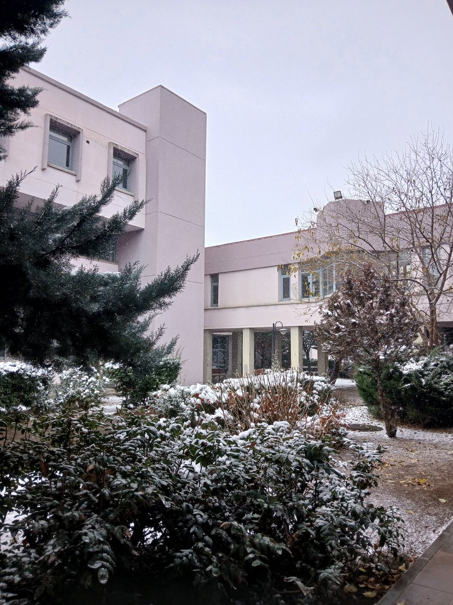 i b r a (@ibra_ozer) on Twitter photo 