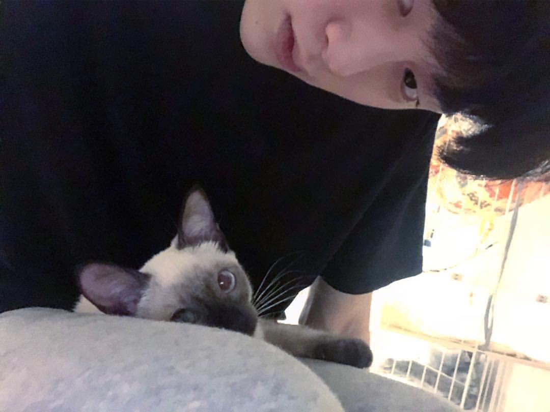 hbnxkwon's tweet photo. โสด ลูกสอง ไลฟ์ติ้กต่อกทุกวัน https://t.co/SiM0cWde7E