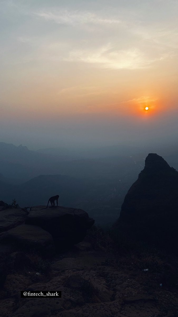 You careermaxx in front of sterile glow of screens, sacrificing your youth for fleeting titles, and trading your dreams for deadlines.

Meanwhile, monke bro, the unburdened sage, sits still in sunset, breathes in the poetry of an untouched horizon, and whispers gratitude to the