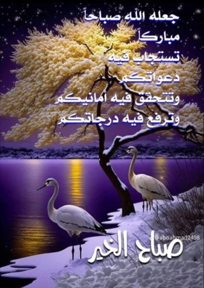 Mahmoud45087665's tweet photo. https://t.co/ZXQmYwfUDZ