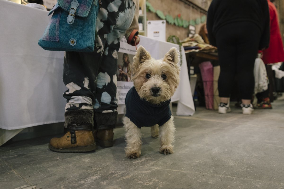 Vault Artist Studios tweet media