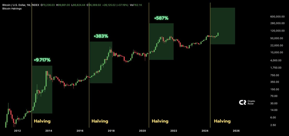 Crypto Rover tweet media