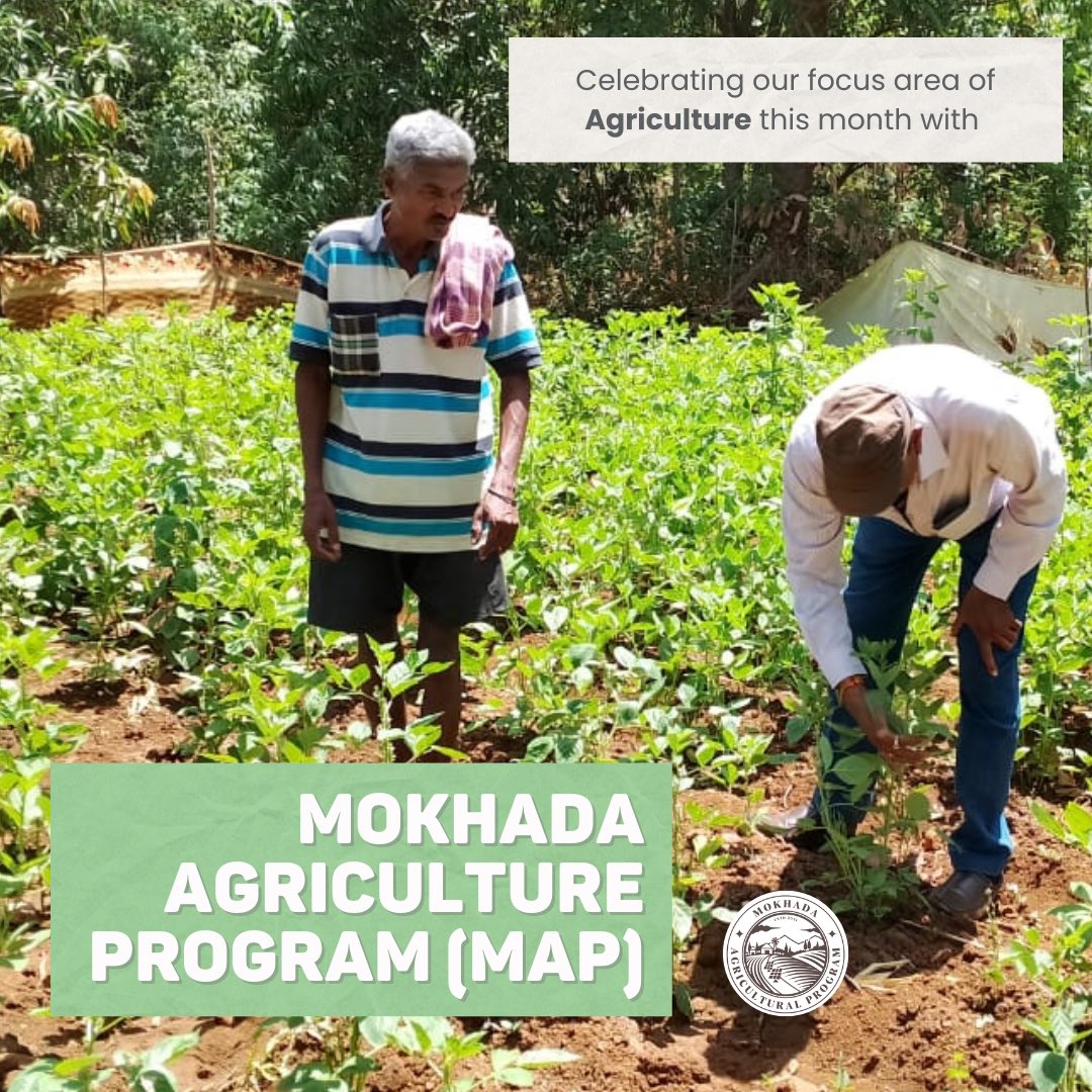 FirstGrameen's tweet photo. This December, we’re all about agriculture! 🌱🚜 Our Mokhada Agriculture Program (MAP) promotes sustainability, boosts crop yields, and strengthens rural economies. 🌍💪 With hands-on training and support, MAP is creating real change in Mokhada! #GrameenFirst #MAP https://t.co/IUMJL1Csww