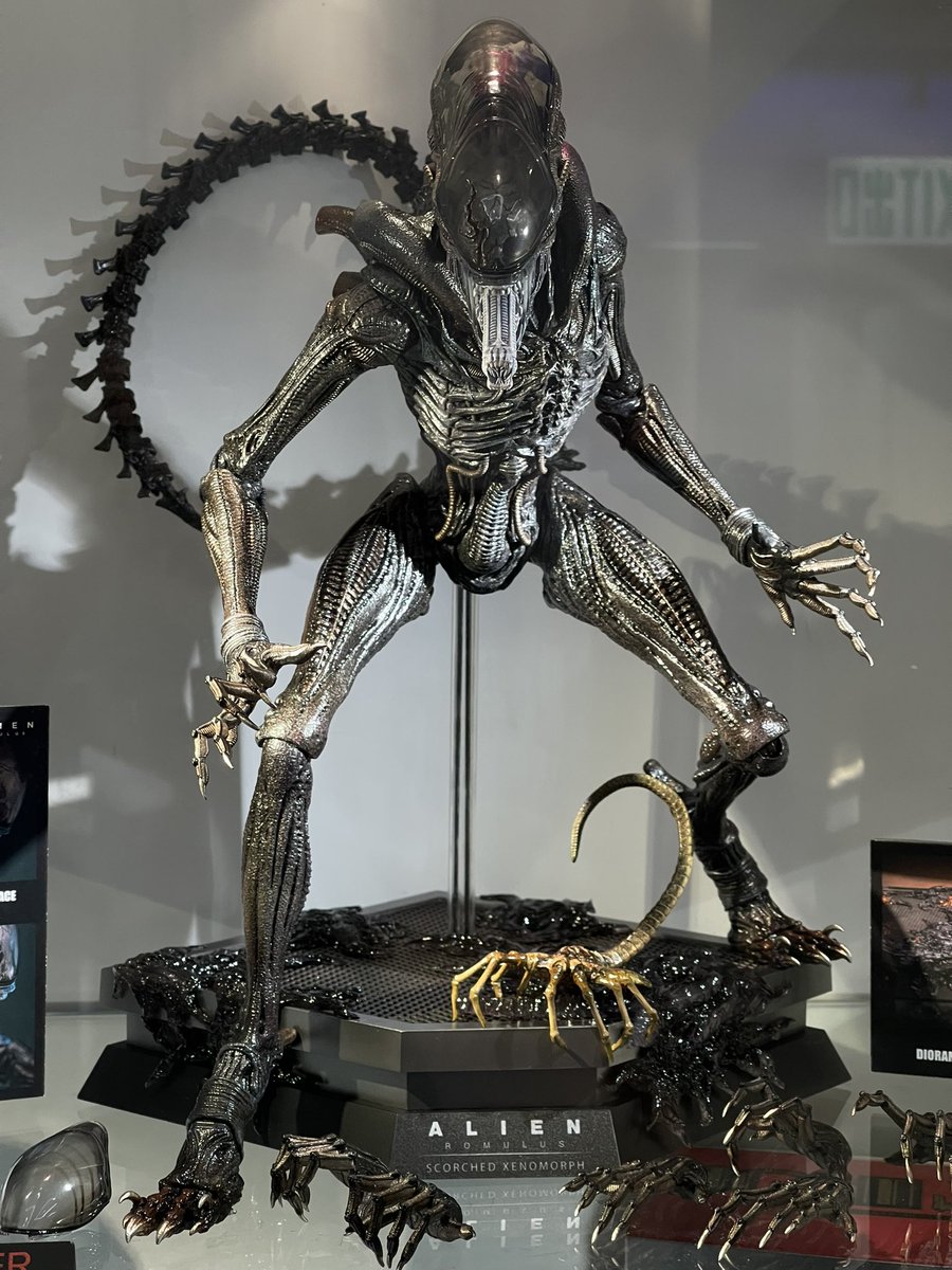 Sine pics of the prototype of Hot Toys Alien: Romulus - Scorched ...
