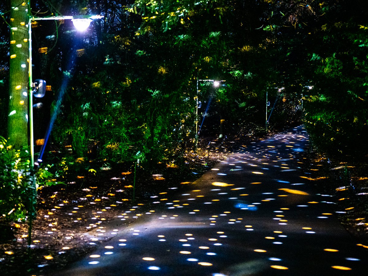 CumberlandCoun's tweet photo. Hall Park Light Works begins tomorrow! - a spectacular new light festival bringing seasonal sparkle to West Cumbria.

Taking place on Sat 30 Nov and Sun 1 Dec, this free outdoor event will transform Hall Park in Workington into a glittering wonderland after dark for all the family.

✨Expect colourful projections beamed onto Workington Hall
🚂Workington’s railway heritage reflected in light installations
🌳A glitter grove and a magical luminous tree
🎺A soundscape from musicians from Workington & Egremont
🍔Plus a hot food and drinks truck & evening rides on the miniature passenger railway

Hall Park Light Works is free to attend - no ticket is required, just turn up. It runs 5:30pm - 8:30pm on Sat 30 Nov & Sun 1 Dec and is fully accessible.