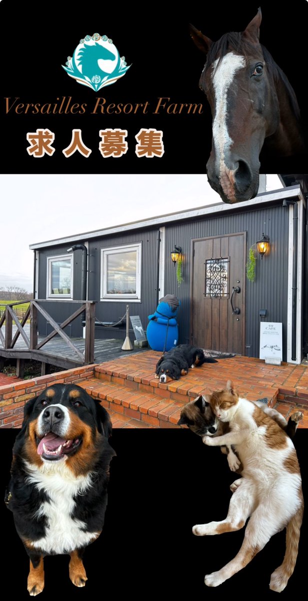 受付、グッズ・カフェスタッフ募集中！！ yogiboヴェルサイユリゾート