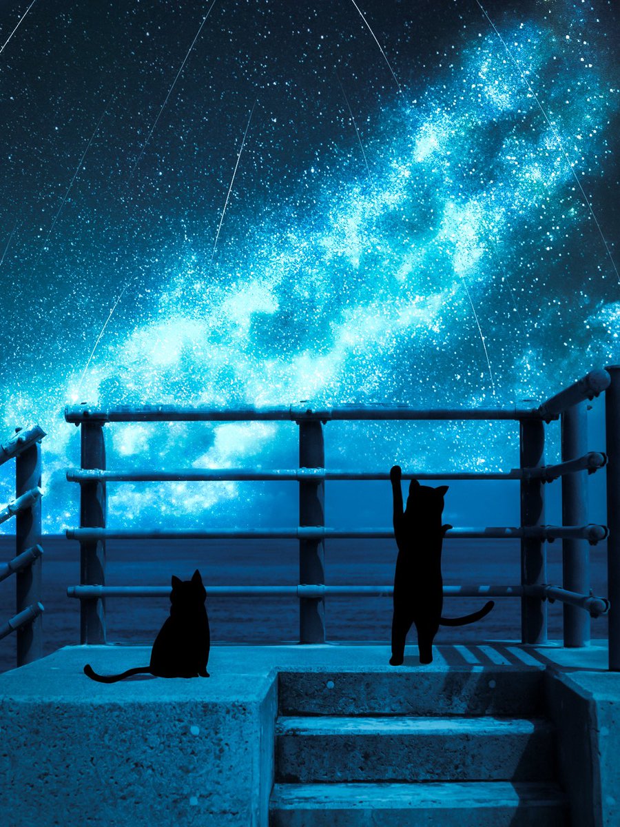 霧月 傑 tweet media