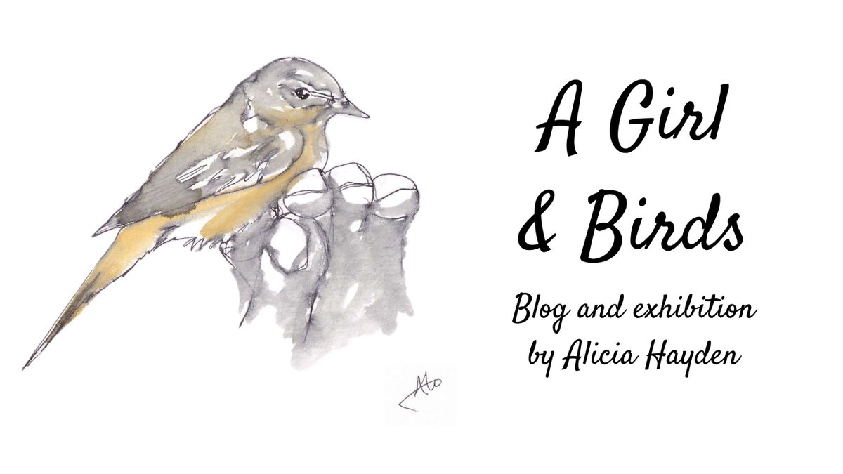 On 27 August we shared 'A Girl and Birds', a blog and exhibition by <a href="/aliciahaydenart/">Alicia Hayden</a>. Alicia and BTO were overwhelmed by the support received from organisations and individuals, with over 5,000 people visiting the blog. You can read it here. ➡️ bto.org/community/blog…